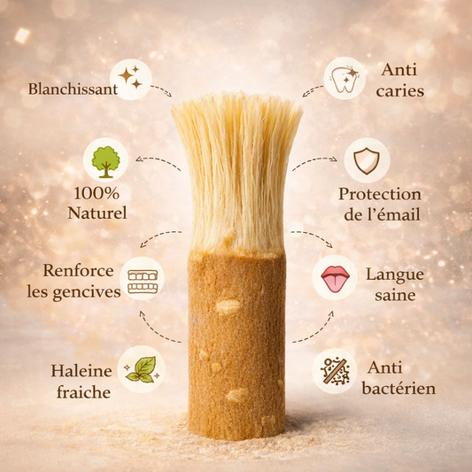 Miswak - 5 saveurs différentes