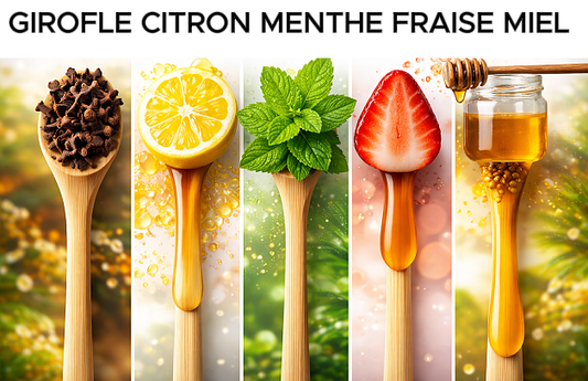 Miswak - 5 saveurs différentes