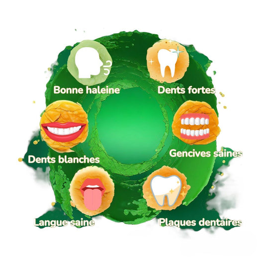 Miswak Gold XXL 170g